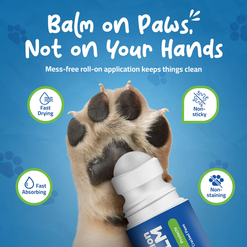 baume-roll-on Muttly pour pattes – sécurité lors du léchage et soin quotidien.