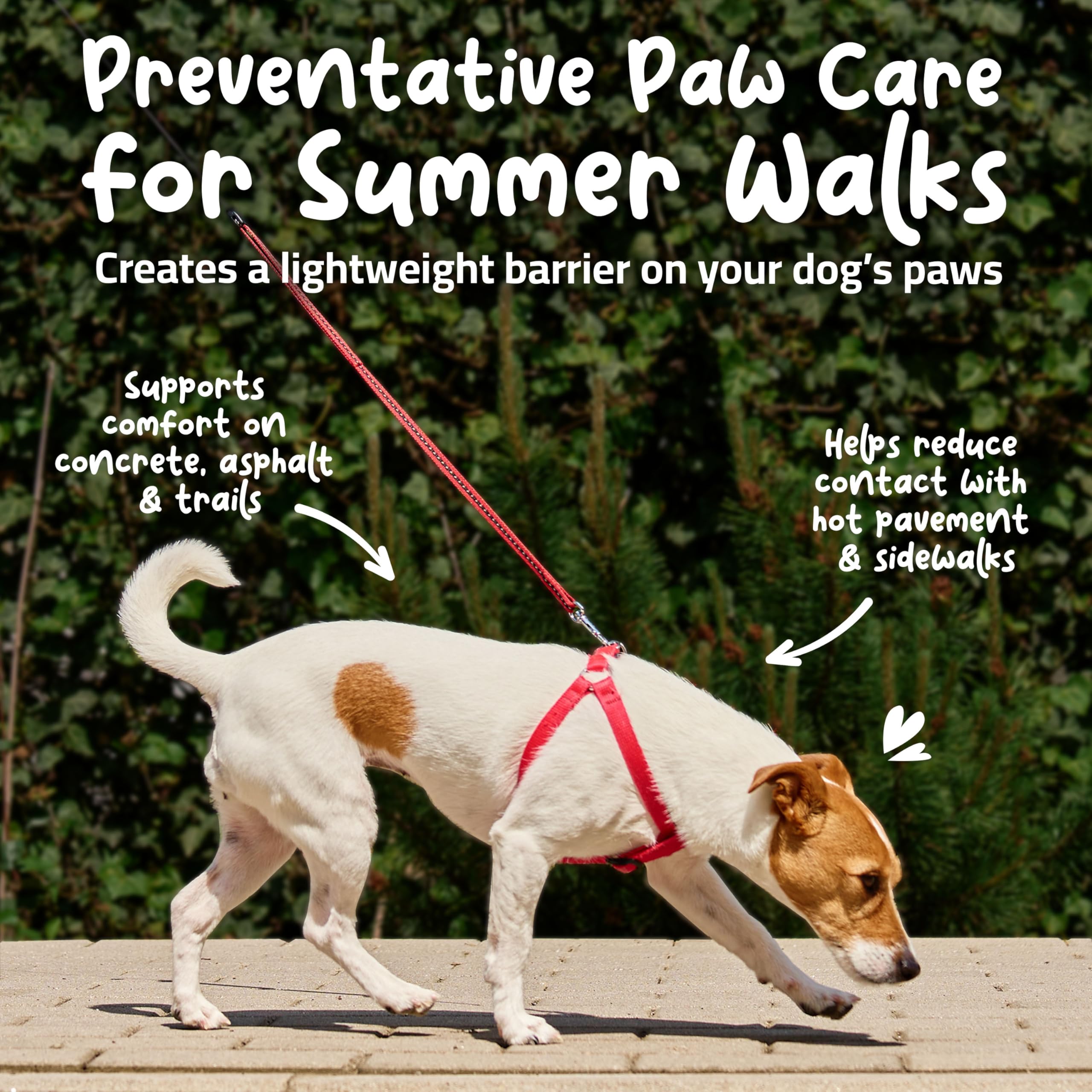 baume-roll-on Muttly pour pattes – sécurité pour lécher et soin quotidien.