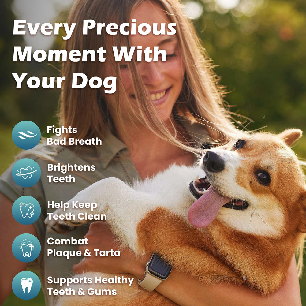 Convient pour chiens de toutes tailles, sans danger.