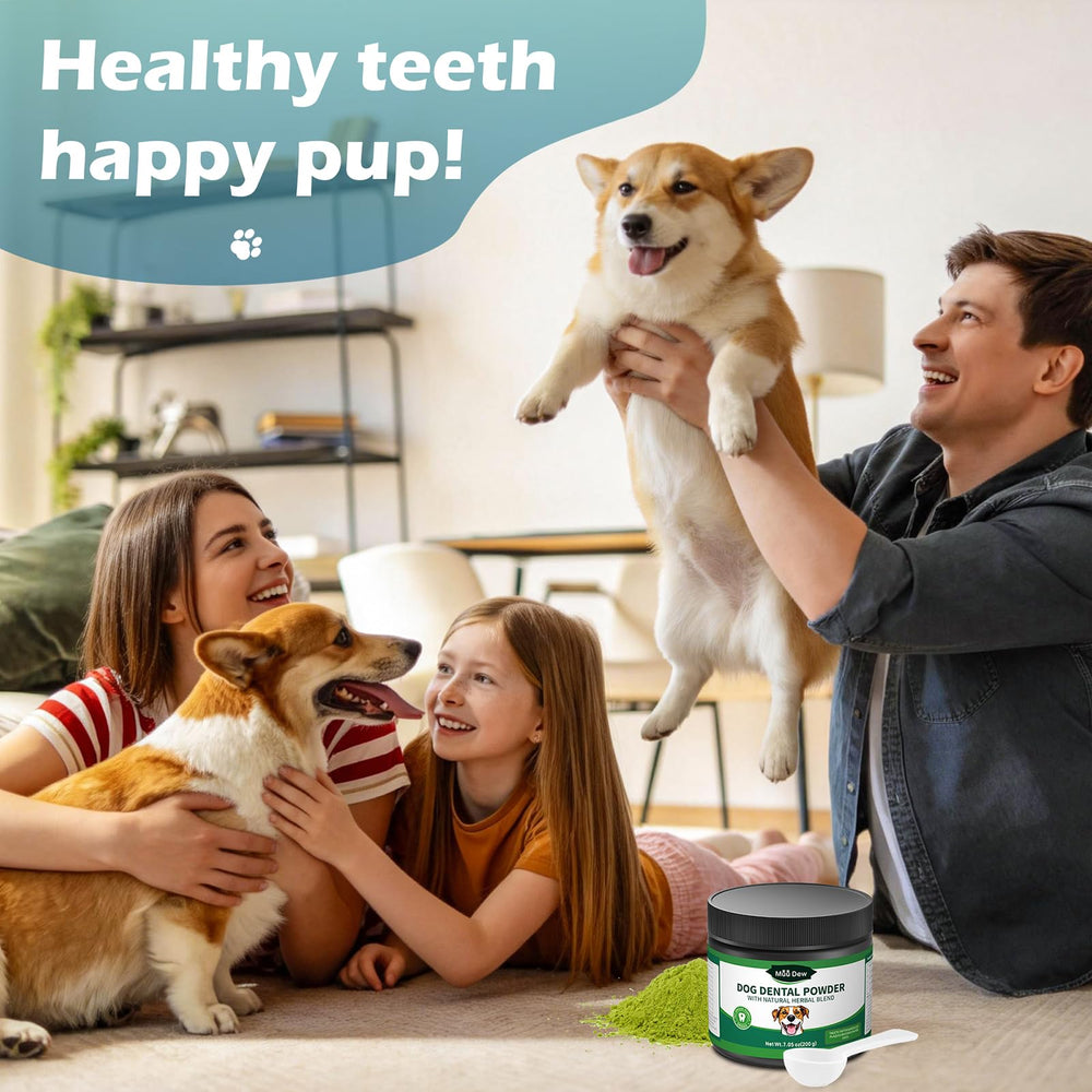 Solution pratique pour chiens récalcitrants au brossage.