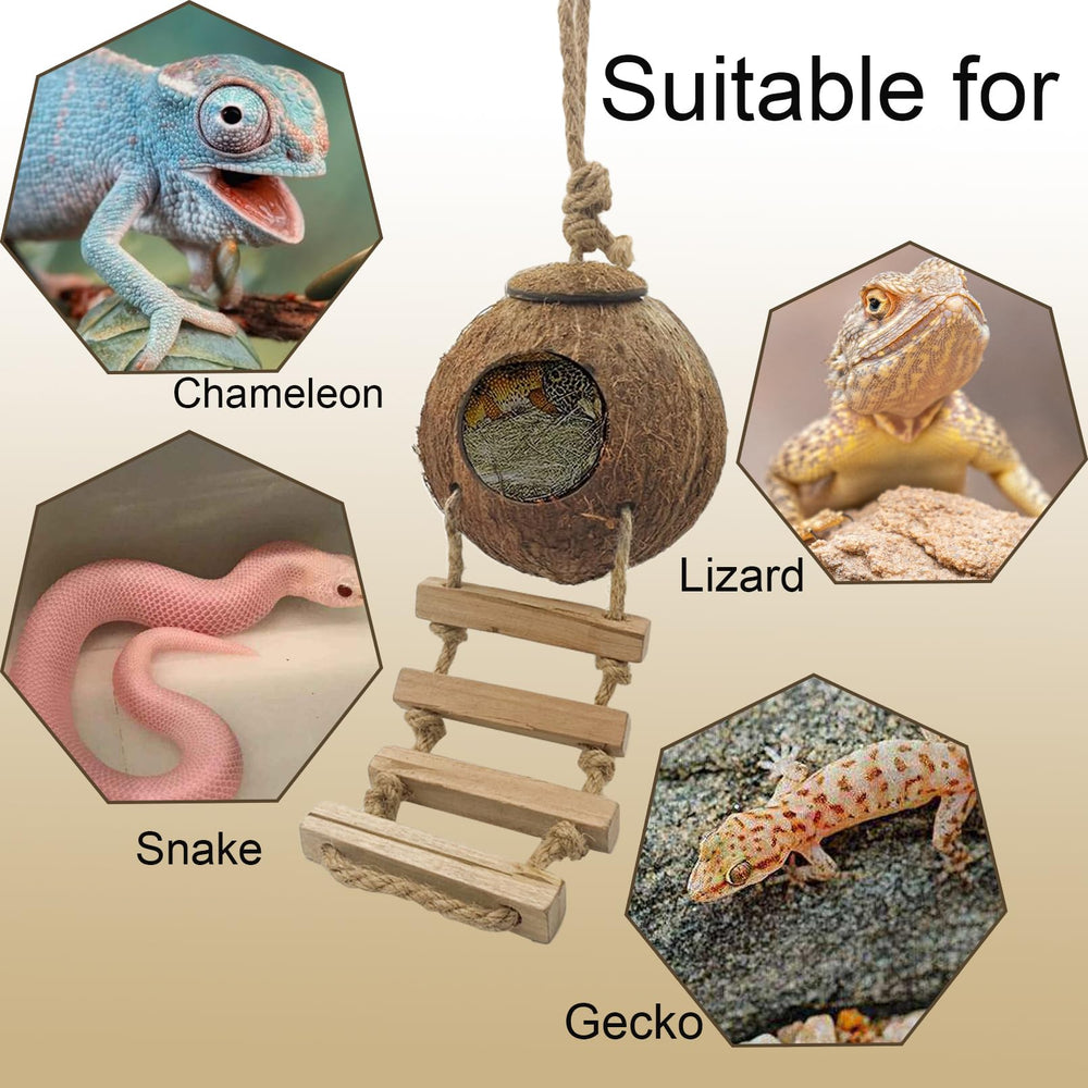 MUYG accessoire terrarium coco-noix, complément décoratif pratique.