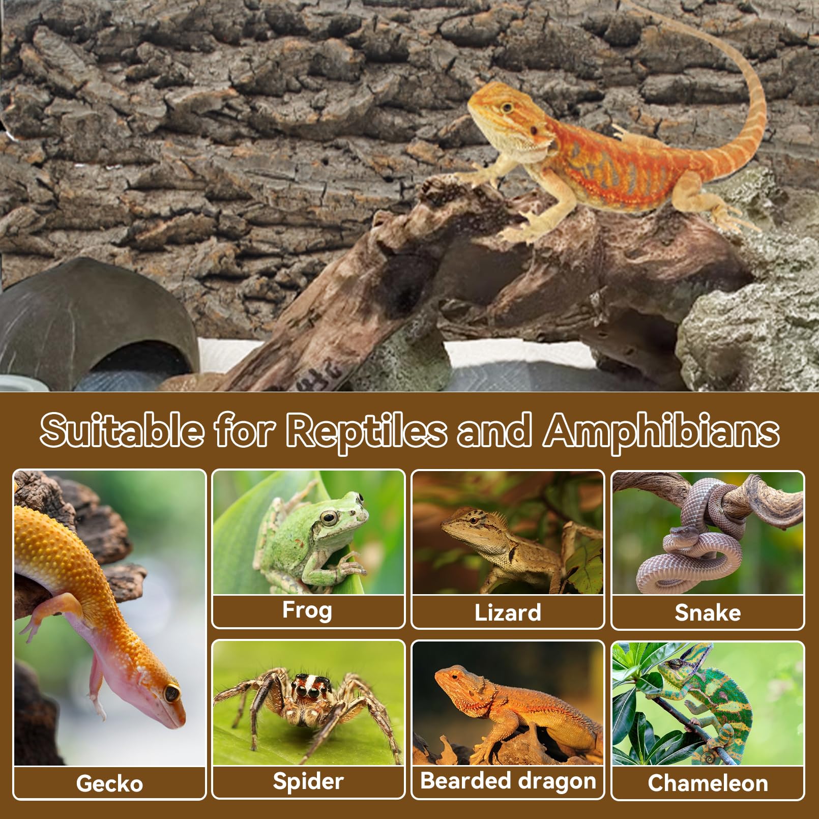 MUYG ambiance-naturelle-terarium convient à divers habitats intérieurs.