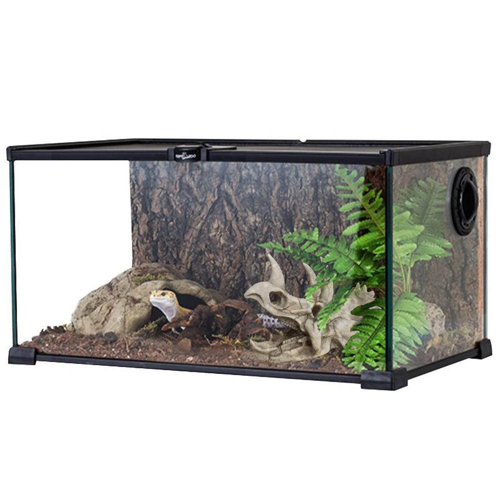 MUYG ensemble-decor-terarium-complet – kit prêt à installer.