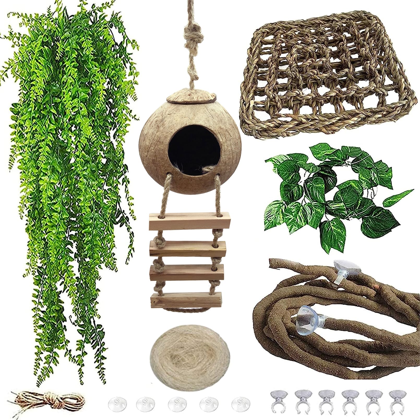 MUYG Gecko Crête cache-noix-de-coco: cachette naturelle et sûre pour gecko à crête.