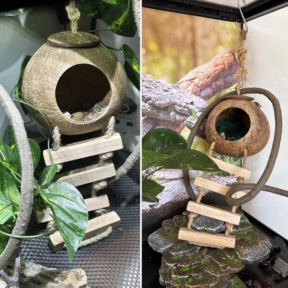 MUYG Gecko Crête vignes flexibles: enrichissement vertical pour grimper et s’étirer.
