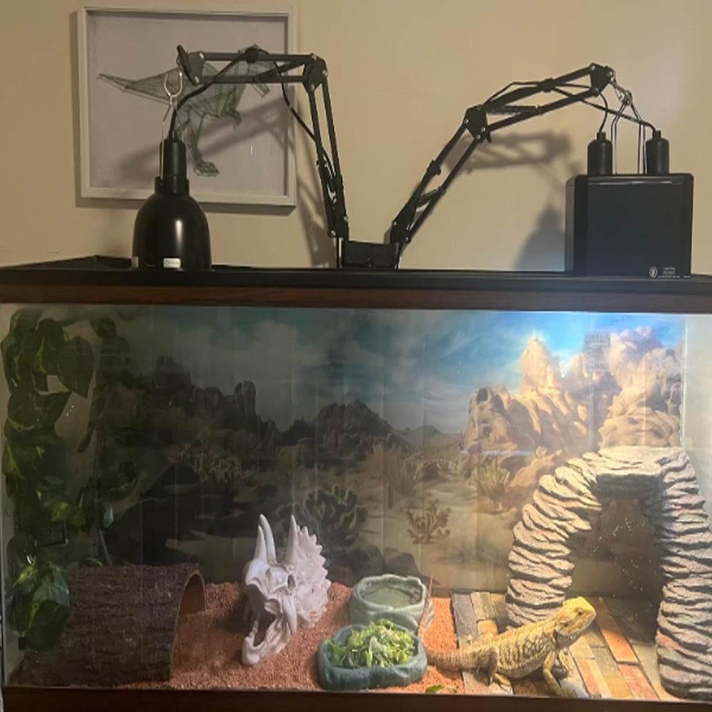 MUYG pack-decor-terarium-complet – ensemble prêt à monter.