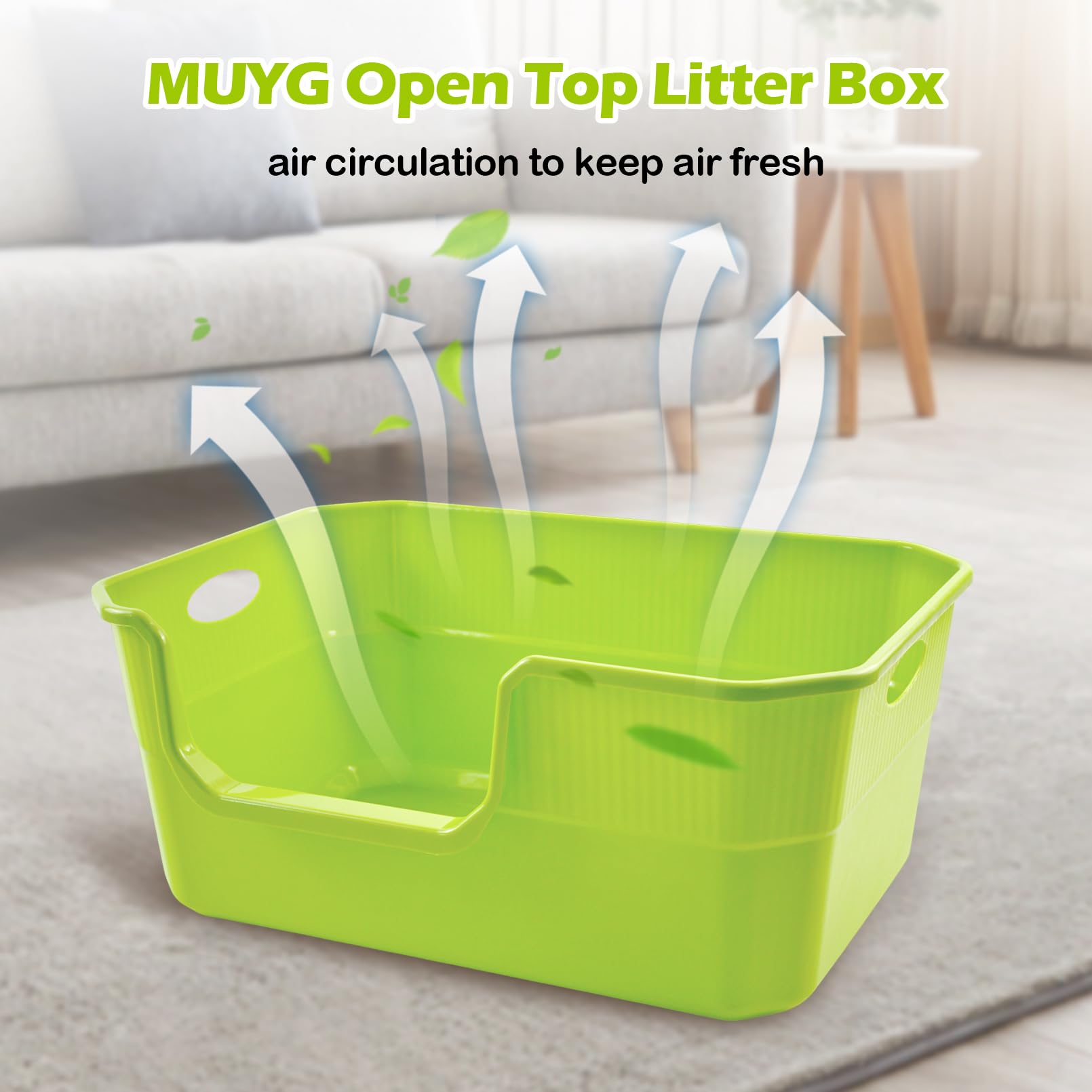 MUYG pan-litiere bords-arrondis vert, securite des pattes.