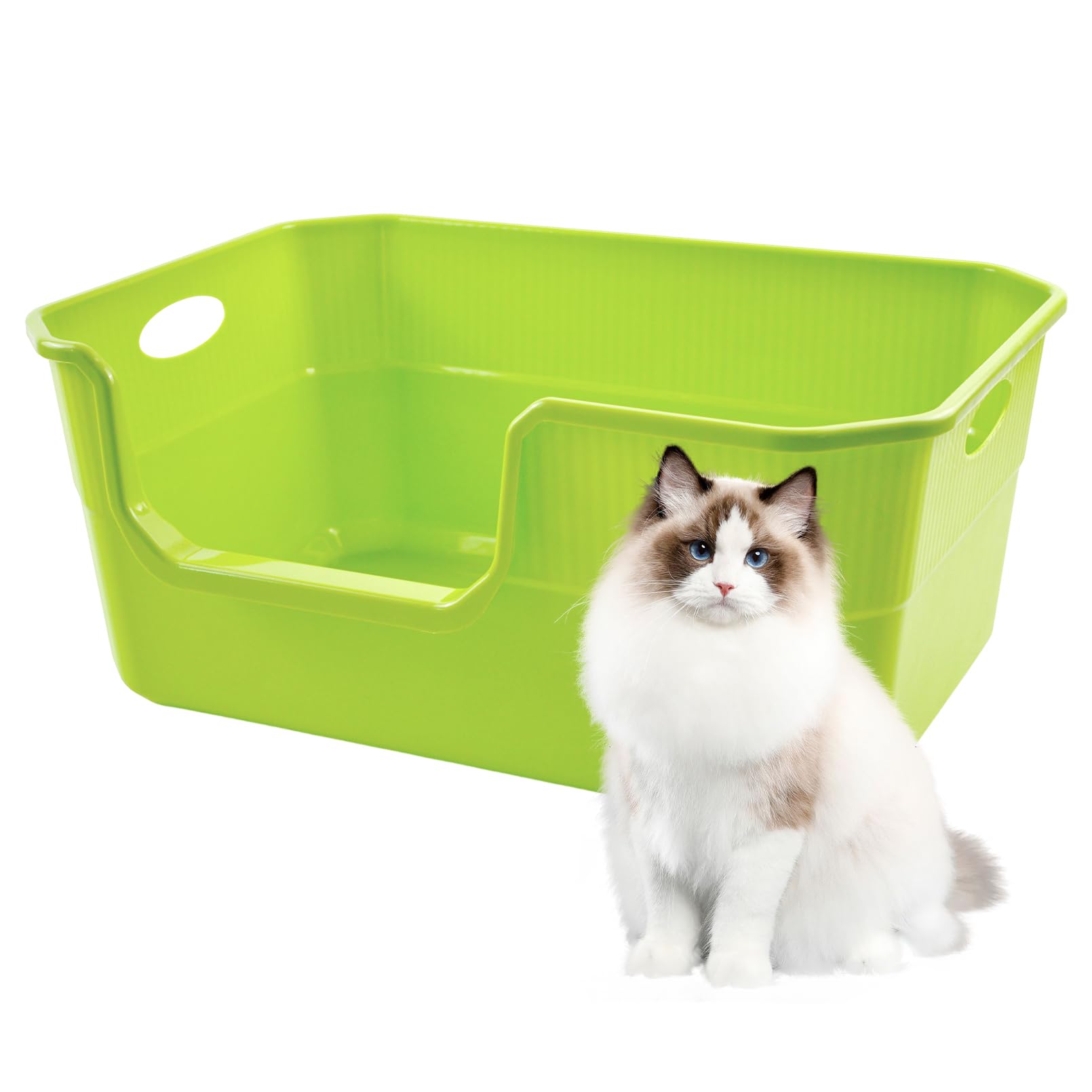 MUYG pan-litiere grand-acces-bas vert, acces facile pour chats.