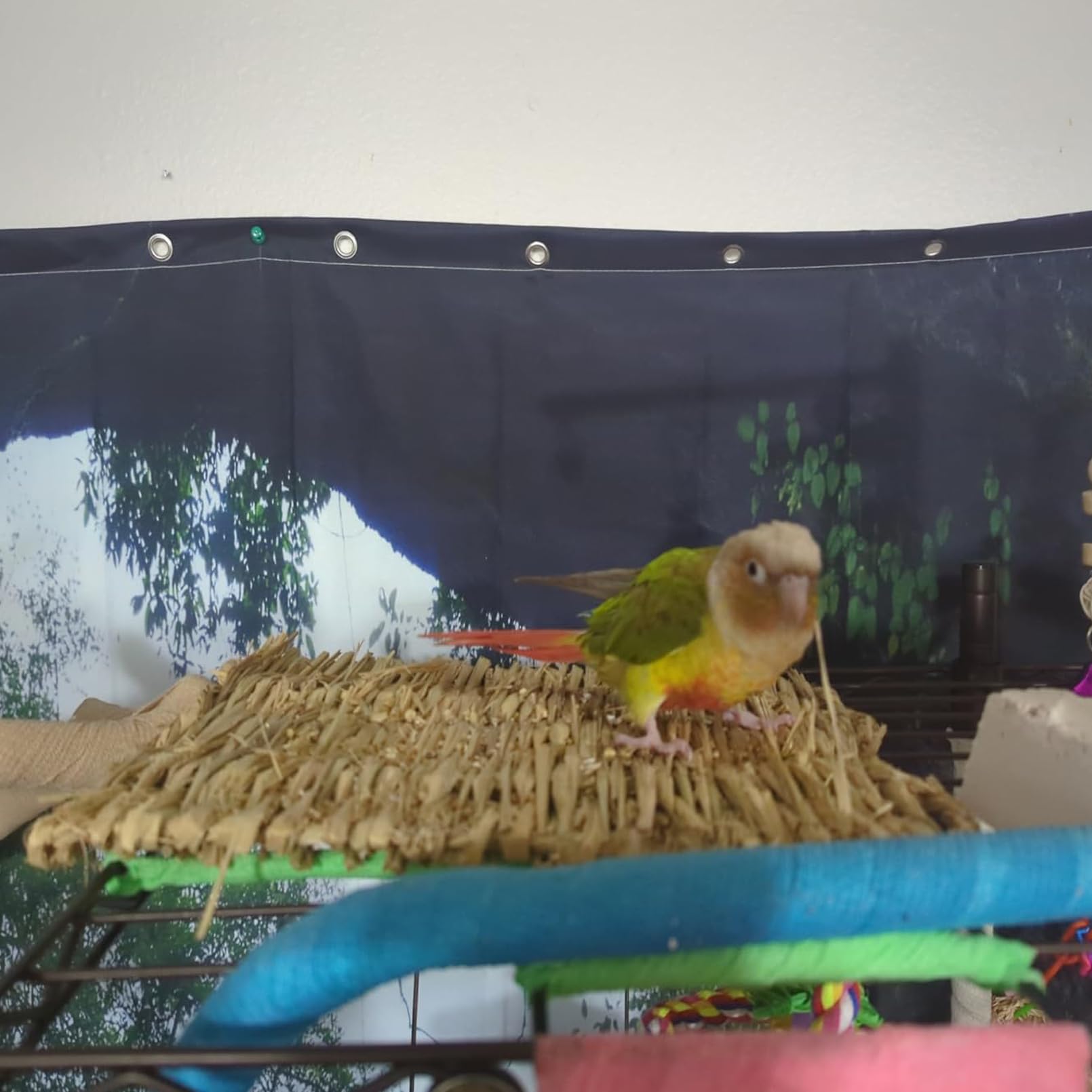 MUYG tapis d'herbe pour lapin, adaptable en cage et espaces intérieurs/extérieurs.
