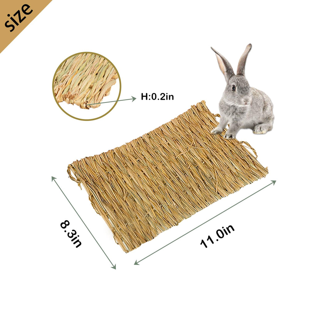 MUYG tapis-herbe-lapin-grignotage-dentition, aide à l’usure naturelle des dents.