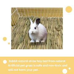 MUYG tapis d'herbe pour lapin, aide au rongement et activité ludique.