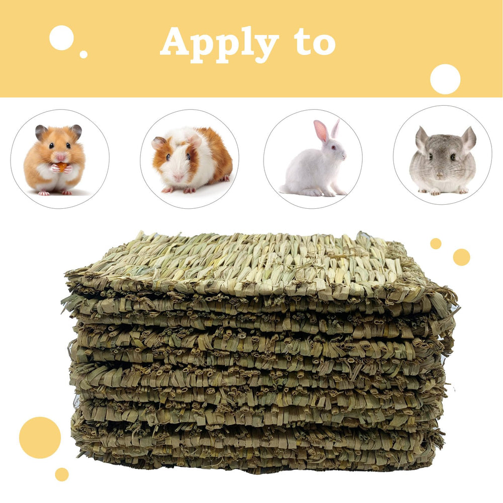 MUYG tapis d'herbe pour lapin, ensemble pratique et durable.