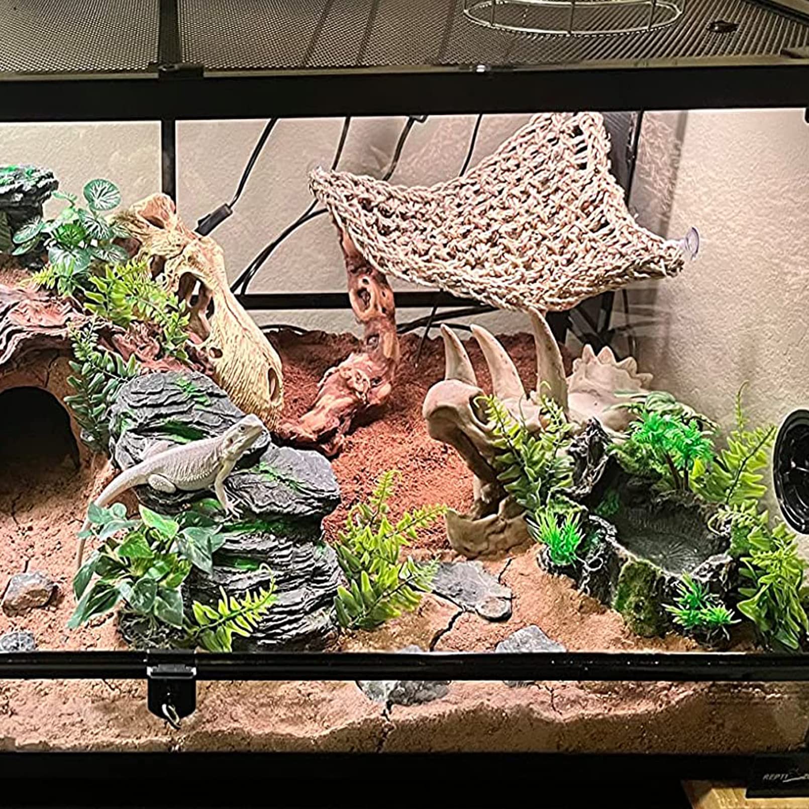 MUYG ventouse-attache – fixation simple sur paroi du terrarium.