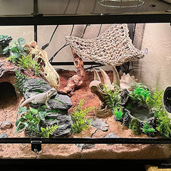 MUYG ventouse-attache – fixation simple sur paroi du terrarium.