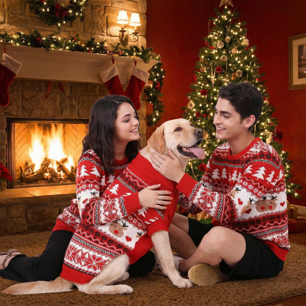MuYaoPet: pull-chien-proprietaire-col-roule-doux, col roulé chaud et look tendance.