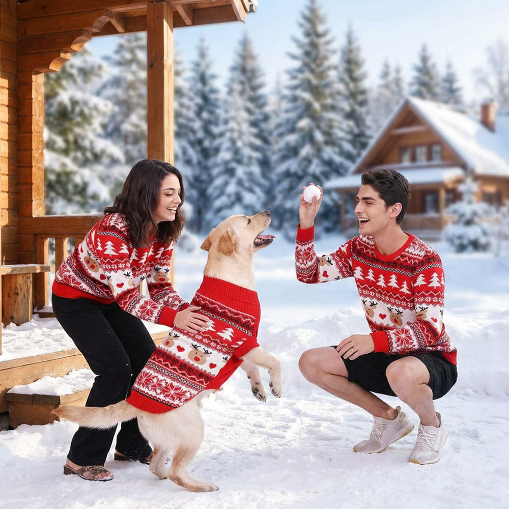 MuYaoPet: pull-chien-proprietaire-couture-noel, style coordonné et chaleur douce.