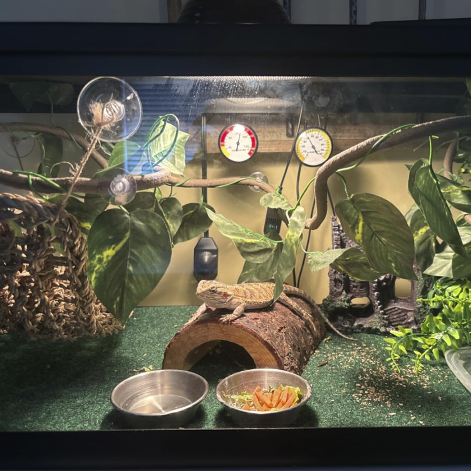 MUYG ambiance-terarium-reptile: decor immersif imitant le milieu naturel