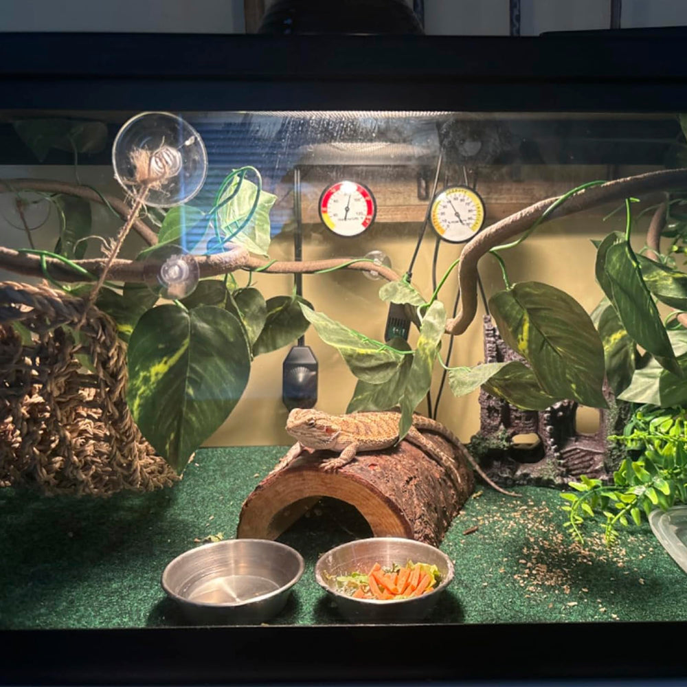 MUYG ambiance-terarium-reptile: decor immersif imitant le milieu naturel