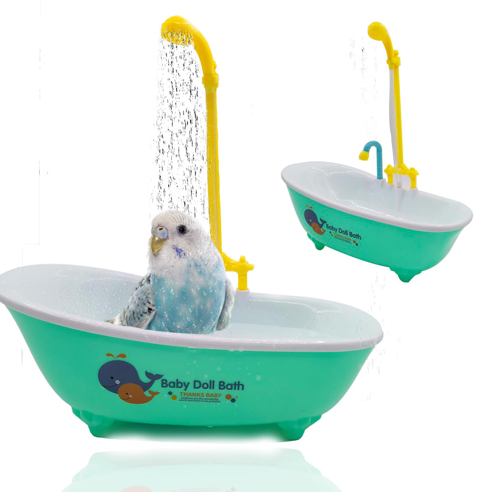 MUYG baignoire automatique pour perroquet – vue d’ensemble, bain sûr et ludique