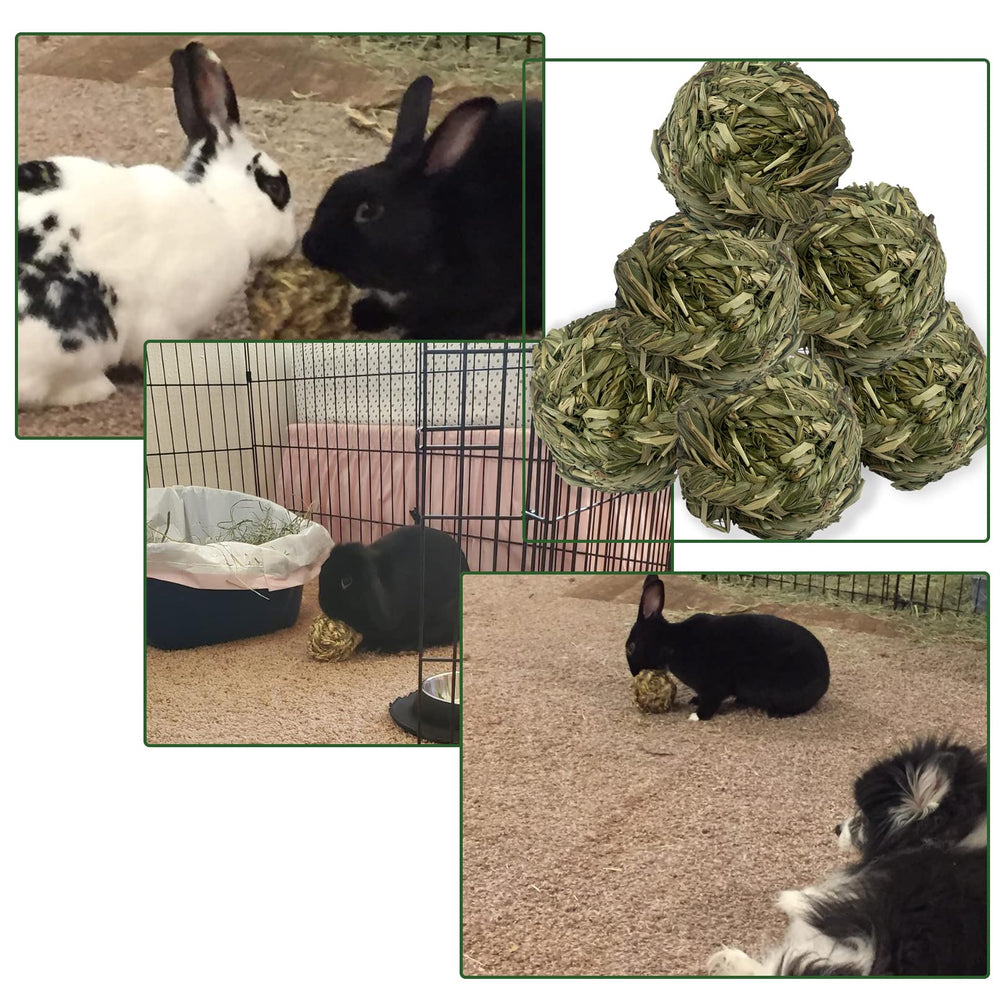 MUYG balle-herbe-timothy: idéale pour lapins, hamsters et cochons d’Inde.