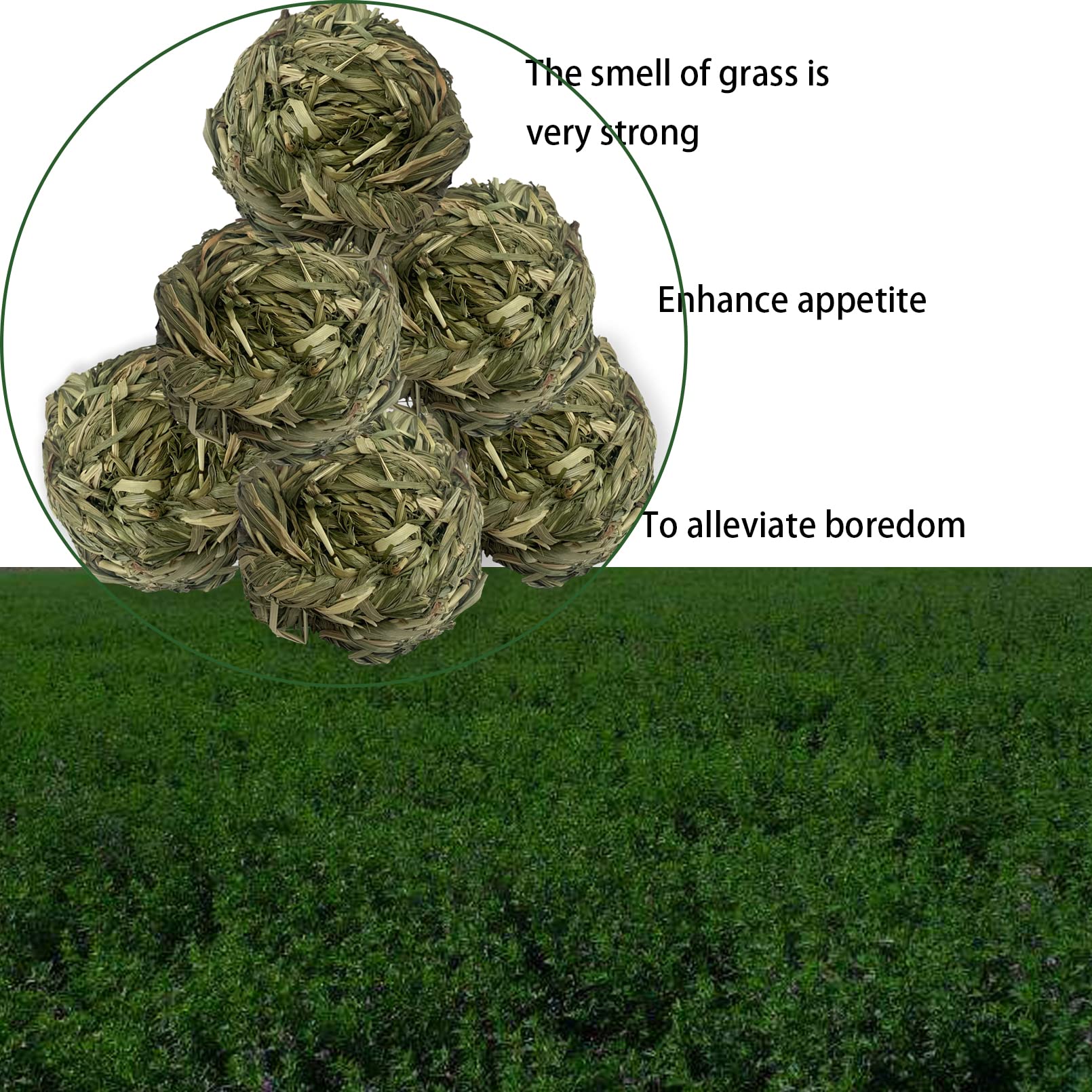 MUYG boule-tressée d’herbe Timothy: alternative naturelle au rongement quotidien.