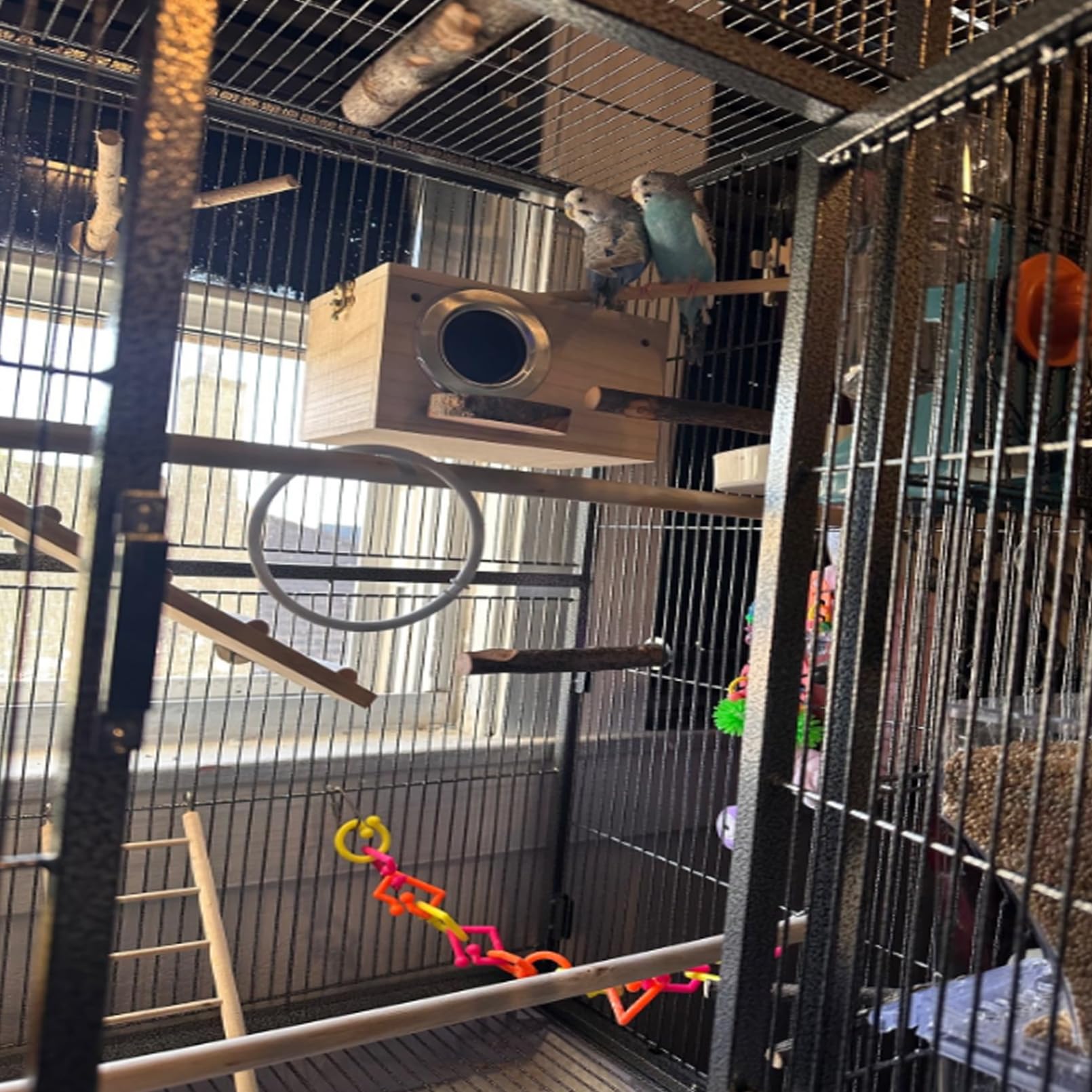 Nid bois prêt à fixer dans la cage MUYG.