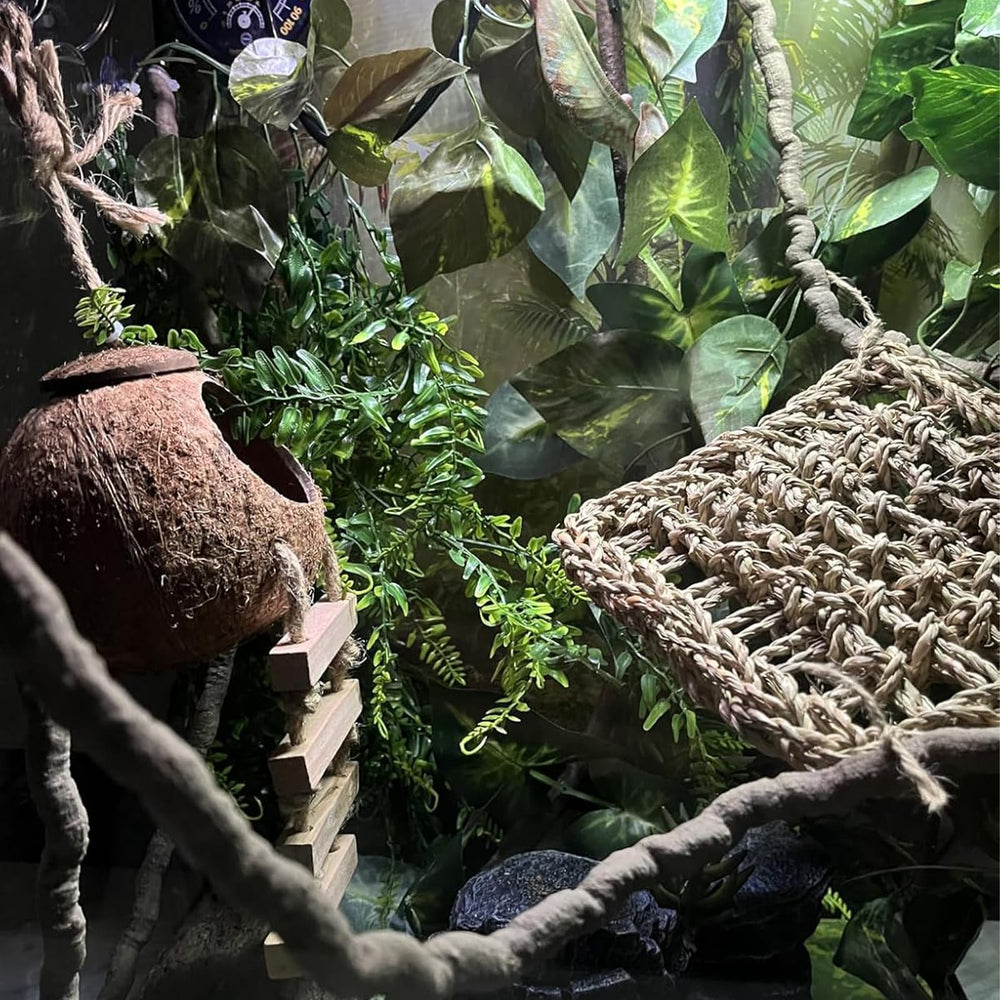 MUYG échelle bois coco den, aide l’escalade et l’exercice du reptile.