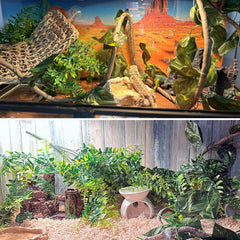 MUYG hamac-reptile-rectangle: espace de repos confortable