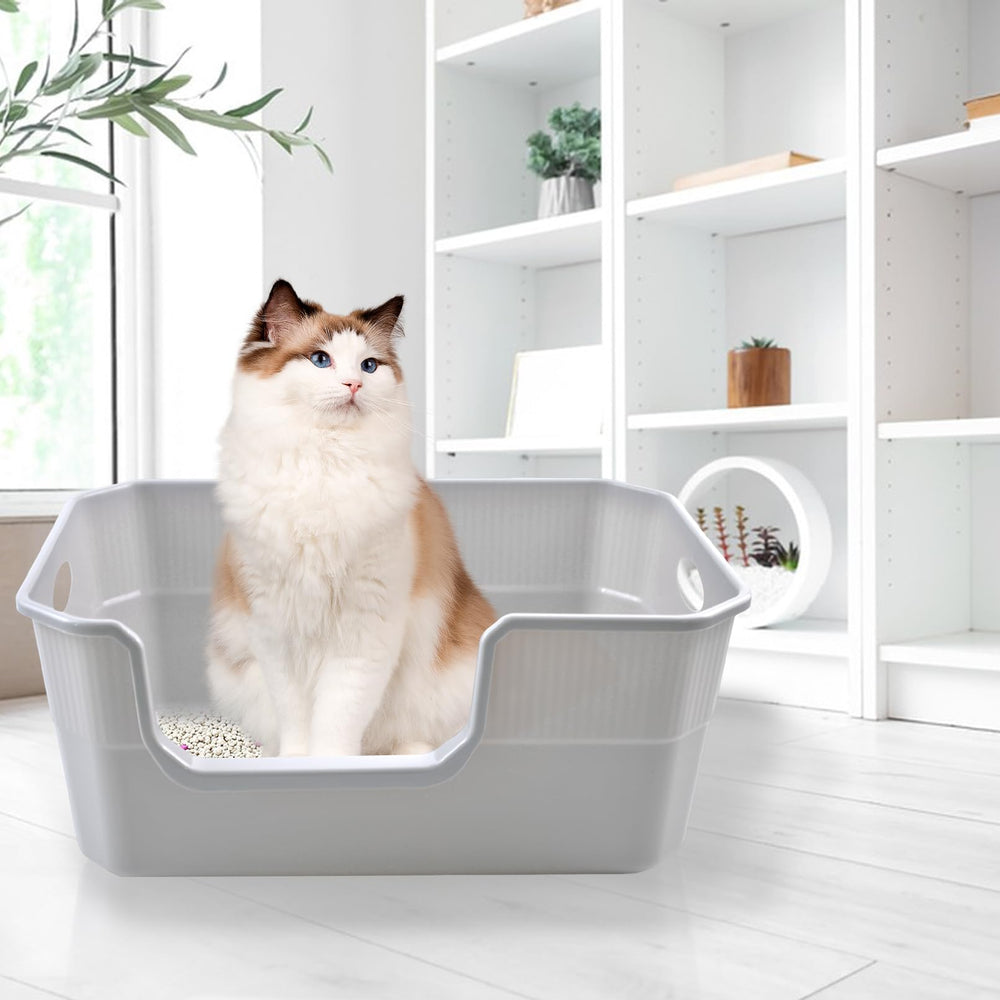 MUYG bac idéal pour chaton et petit chat, espace intérieur adapté.