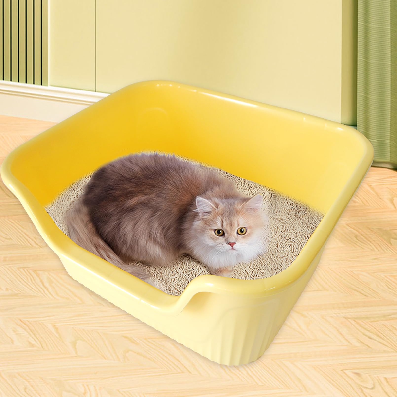 MUYG litière pratique pour le quotidien des chats, nettoyage facilité.