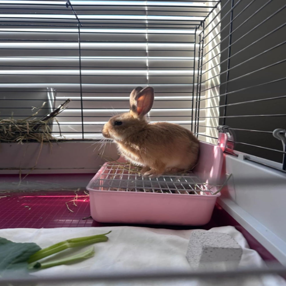 MUYG litière lapin toilette – bord bas pour accès facile.