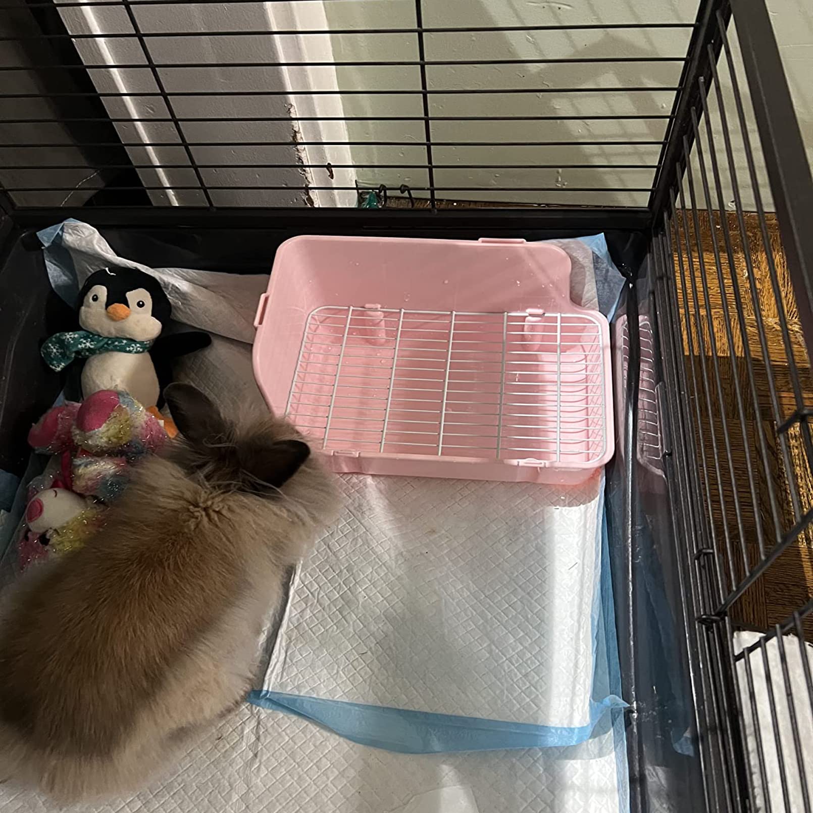 MUYG litière lapin toilette – convient pour lapins nains et petits animaux.