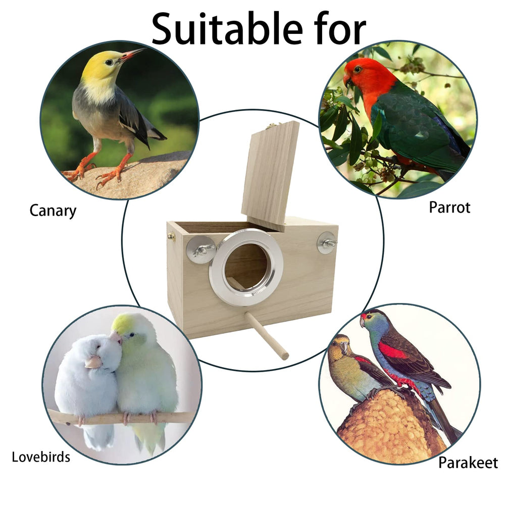 Ensemble 7 pièces MUYG pour mordre et nourrir les oiseaux.