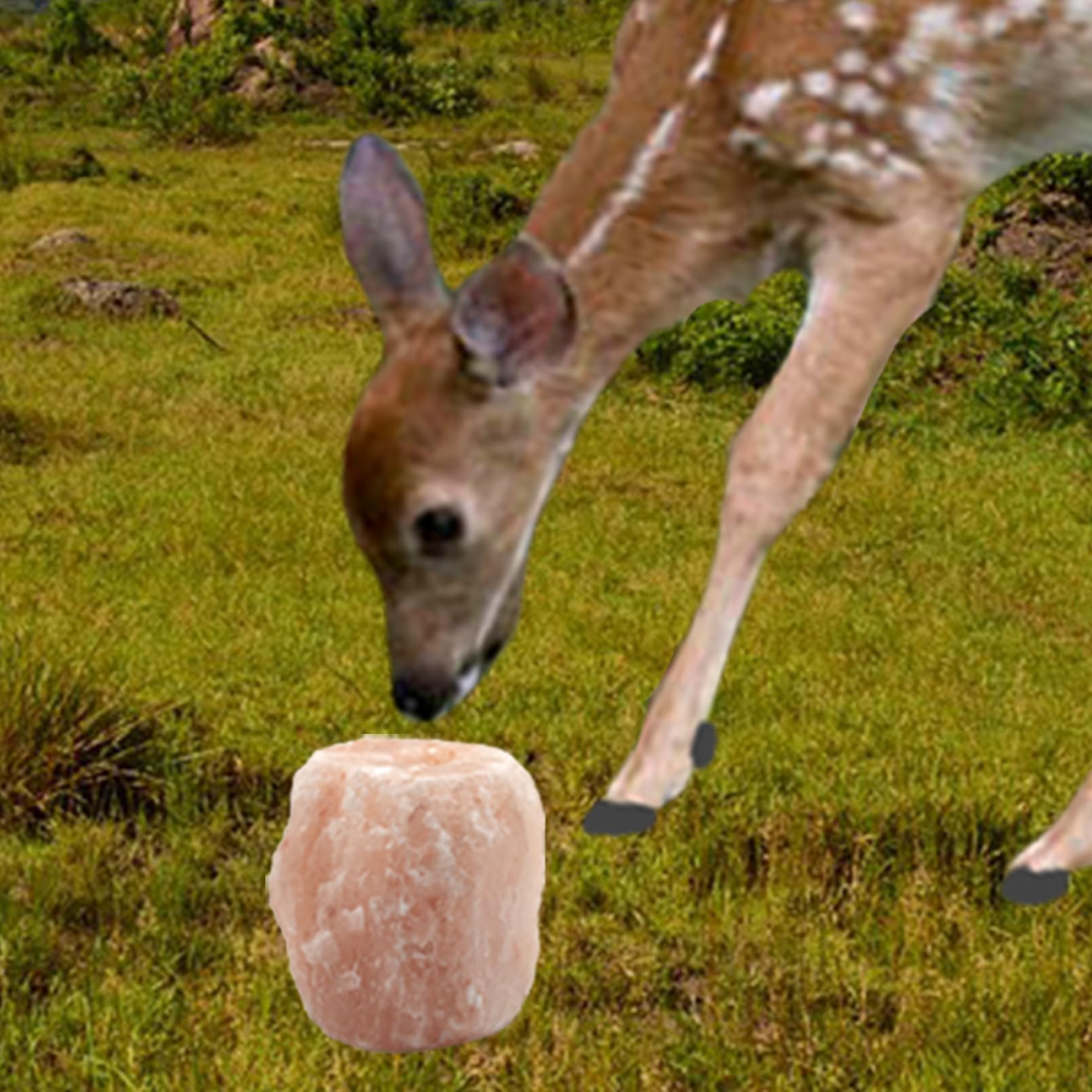 MUYG bloc sel naturel Himalaya, pierre brute issue de l’Himalaya.
