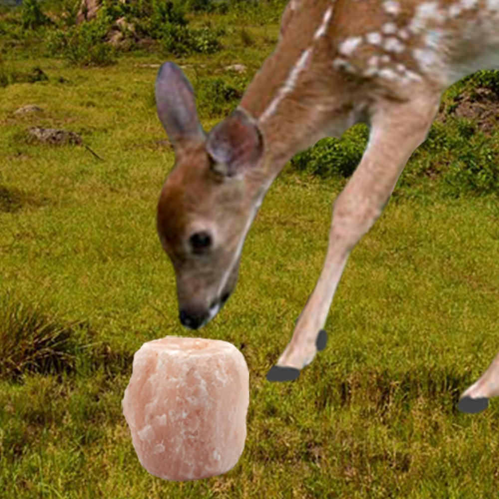 MUYG bloc sel naturel Himalaya, pierre brute issue de l’Himalaya.