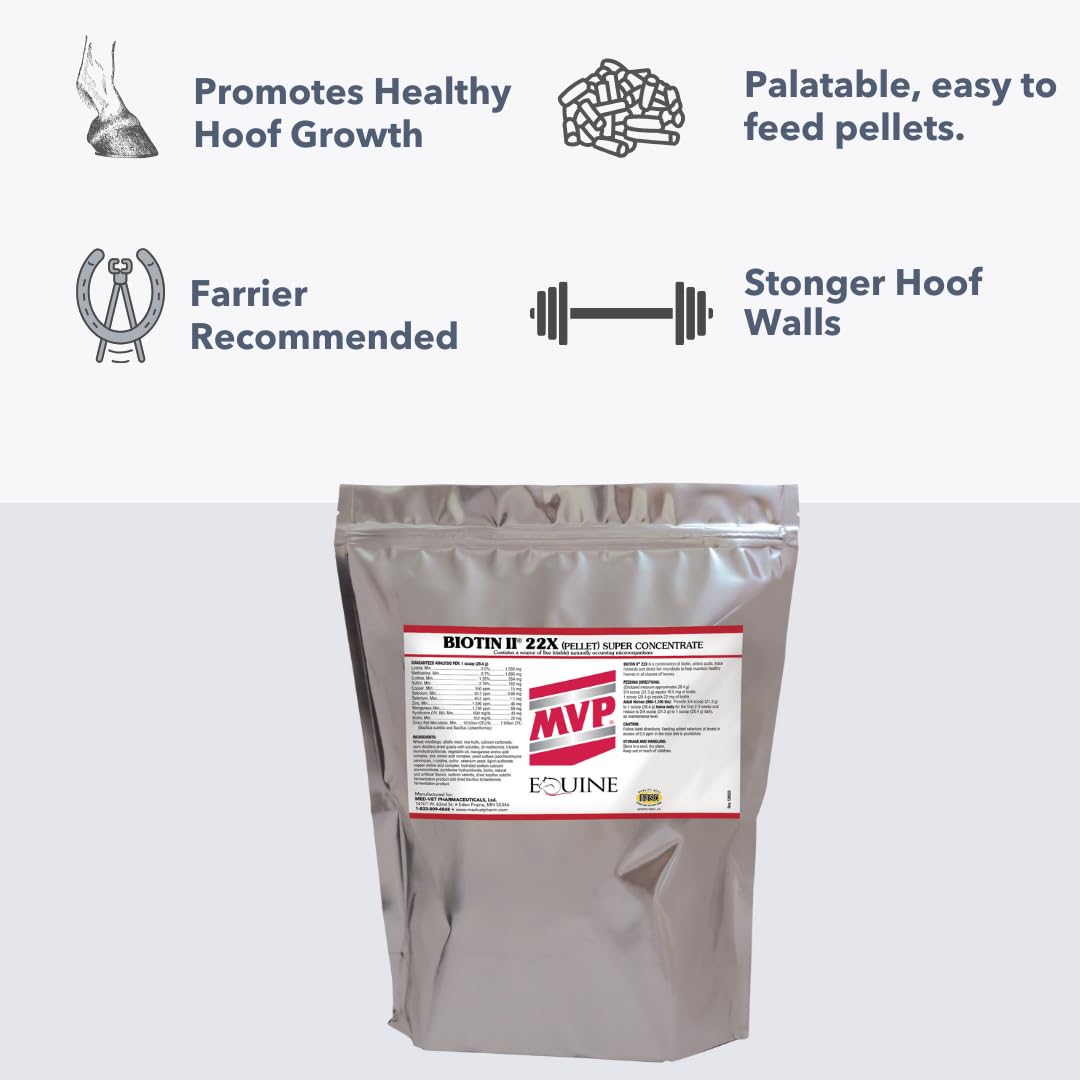 MVP Biotine II 22X boîte 5-lb: dosage quotidien pratique.