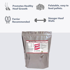 MVP Biotine II 22X boîte 5-lb: dosage quotidien pratique.