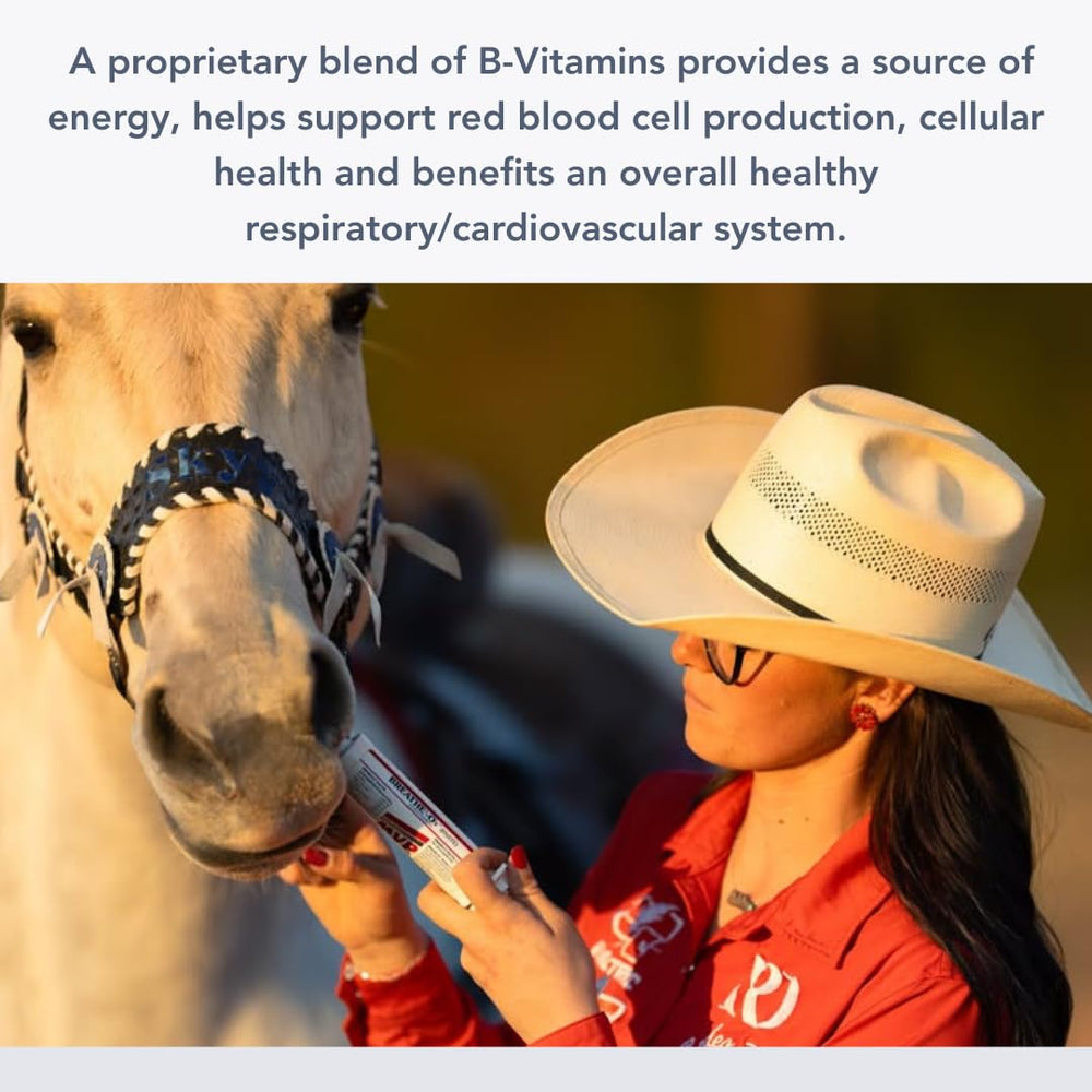 MVP Breathe O'2 avant-course pâte, soutient potentiellement l'échauffement du cheval.