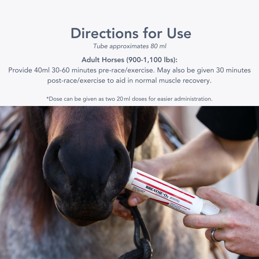 MVP Breathe O'2 pack pré-course pour chevaux, idéal pour une routine structurée.