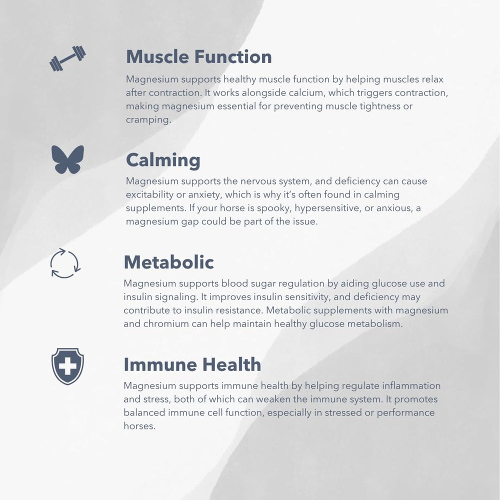 MVP Magnesium 5000, dans l'alimentation : intégration simple au repas quotidien.