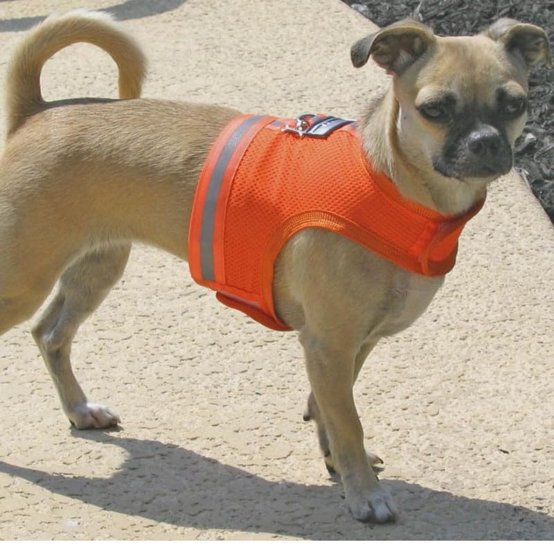 Design stylé et confort My Canine Kids pour chiens miniatures.