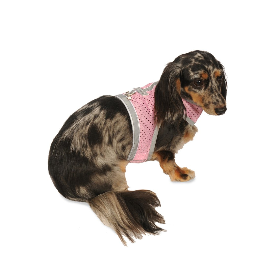 Harnais mesh athlétique My Canine Kids pour chiots teacup, confort et liberté de mouvement.