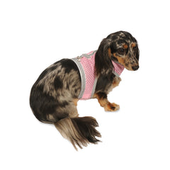 Harnais mesh athlétique My Canine Kids pour chiots teacup, confort et liberté de mouvement.