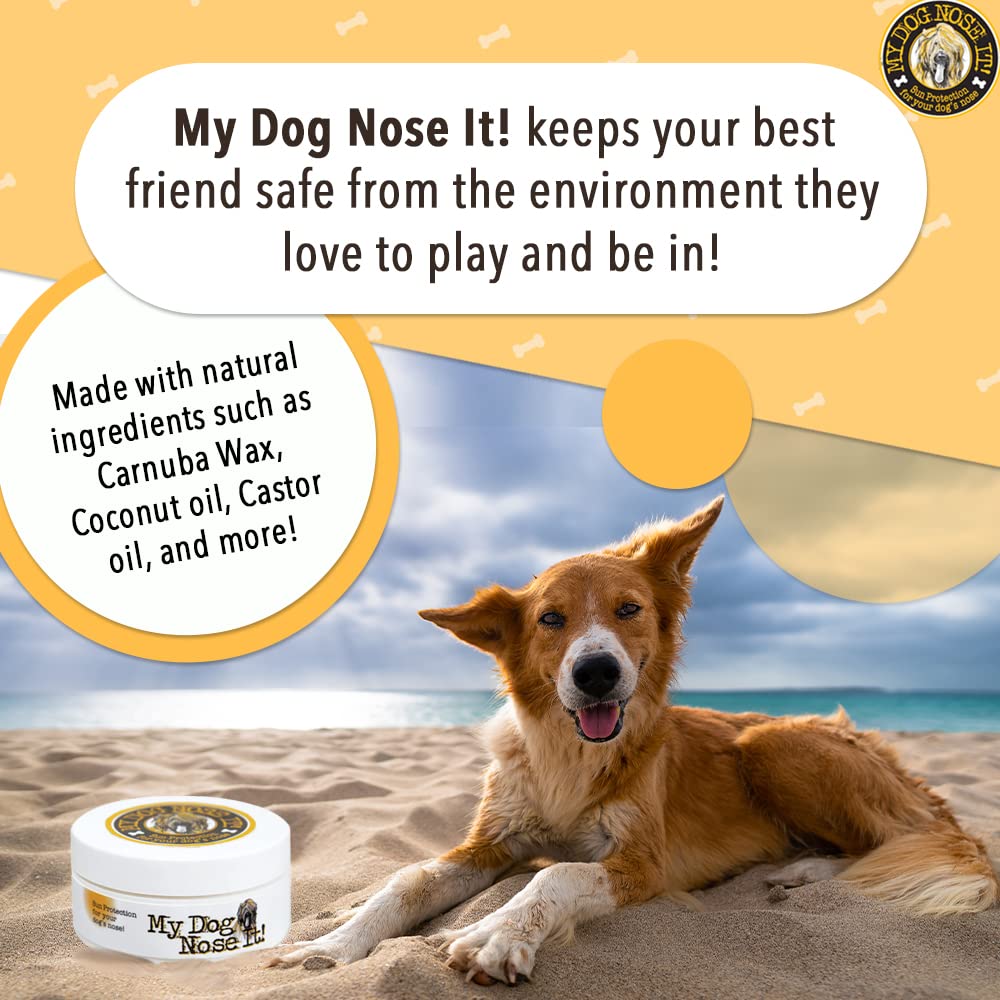 My Dog Nose It – cire de carnauba pour une barrière protectrice et durable.