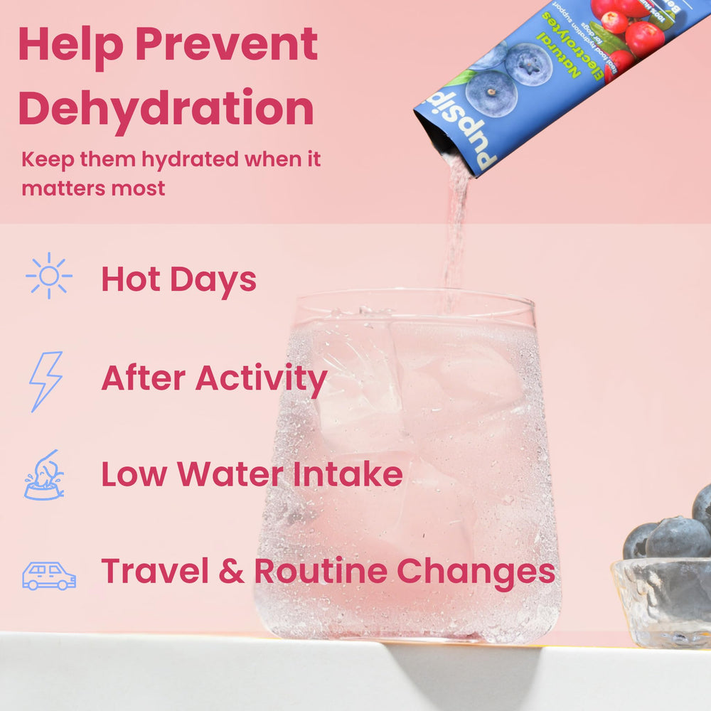 PupSip My Dog's Kitchen – chien actif, hydratation pour l'exercice.