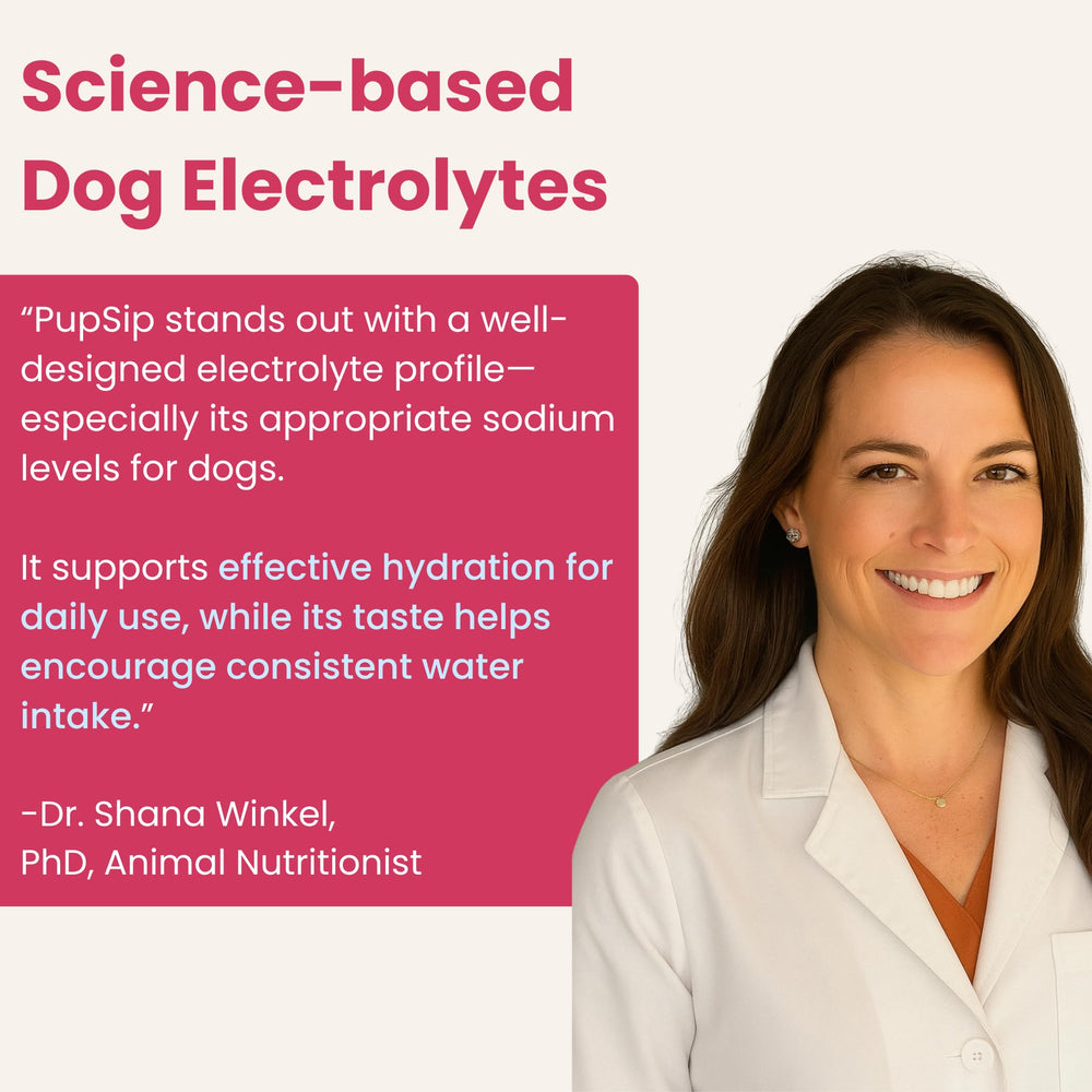 PupSip My Dog's Kitchen – dosage rapide dans l'eau.