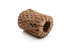 My Pet Patrol bois cholla ourson peluche décoration d’aquarium naturelle et durable.