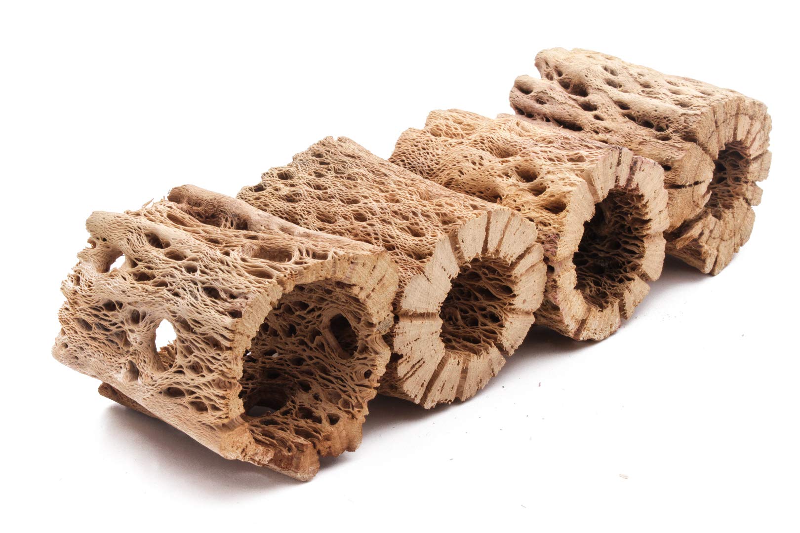 My Pet Patrol bois cholla ourson peluche dimensions 3 à 12 pouces adaptées à divers aquariums.