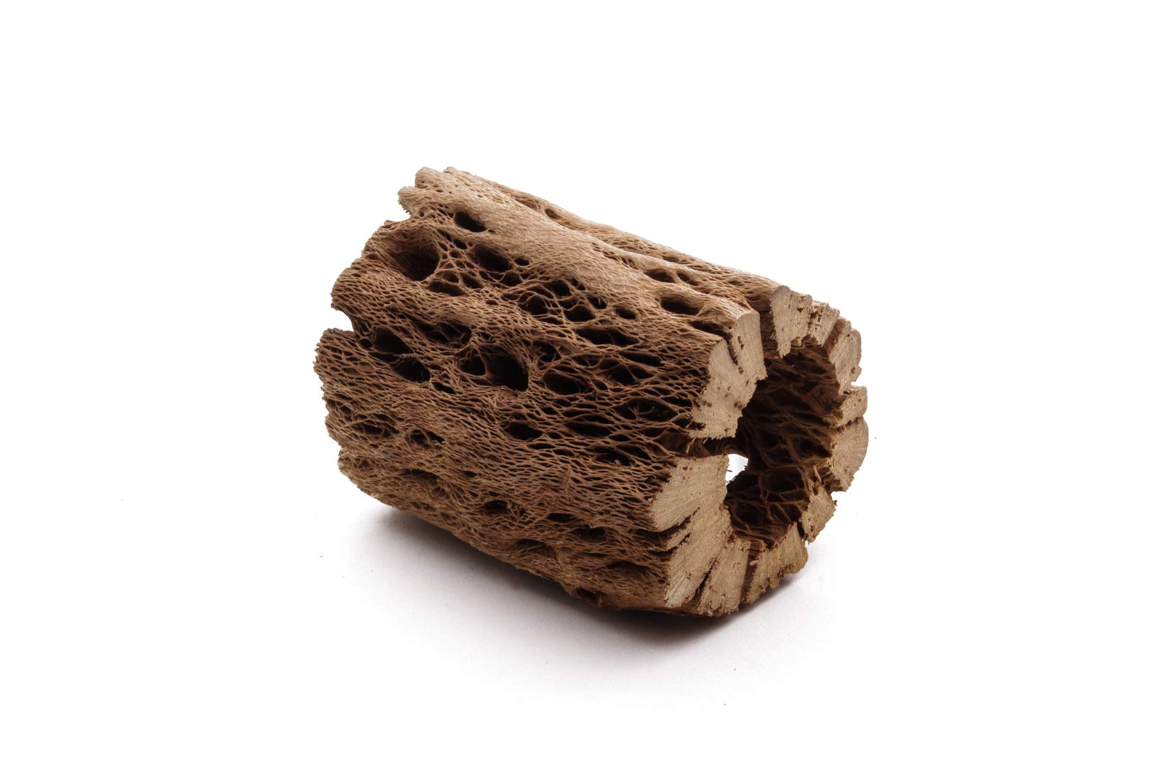My Pet Patrol bois cholla ourson peluche enrichissement d’habitat pour poissons et petits animaux.