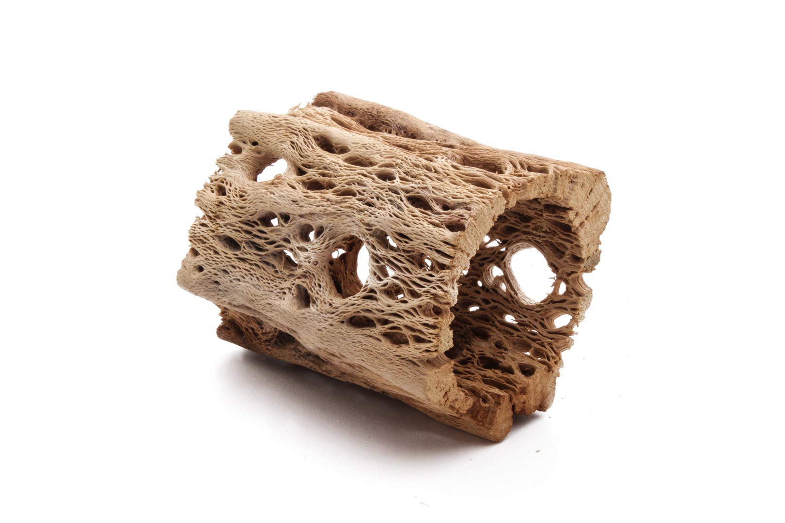 My Pet Patrol bois cholla ourson peluche intérieur extra creux, abri idéal pour l’aquarium.